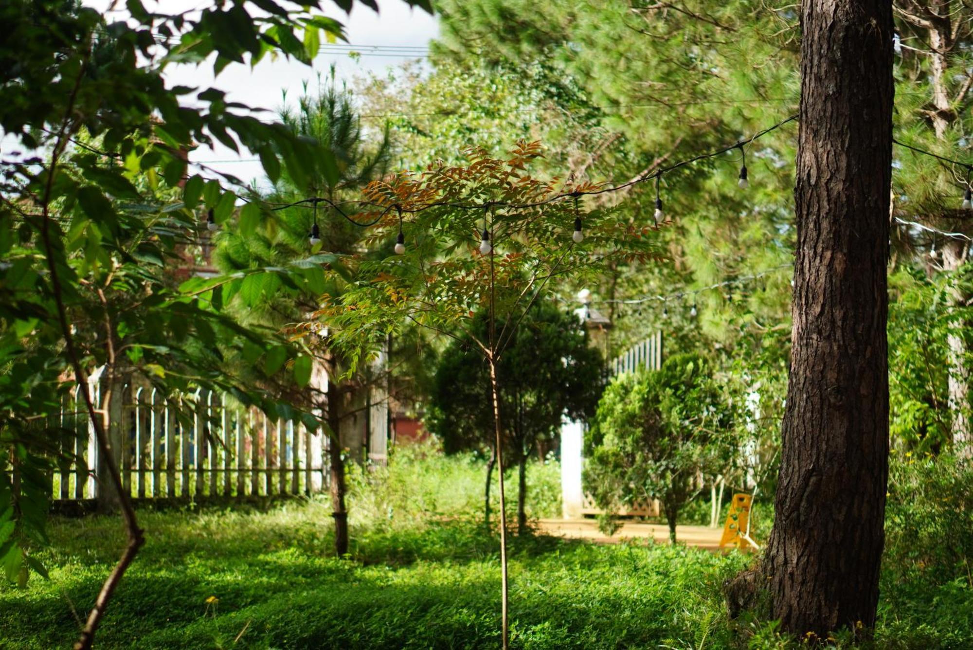 Sum Villa Homestay Mang Den Kon Von Kla Bagian luar foto