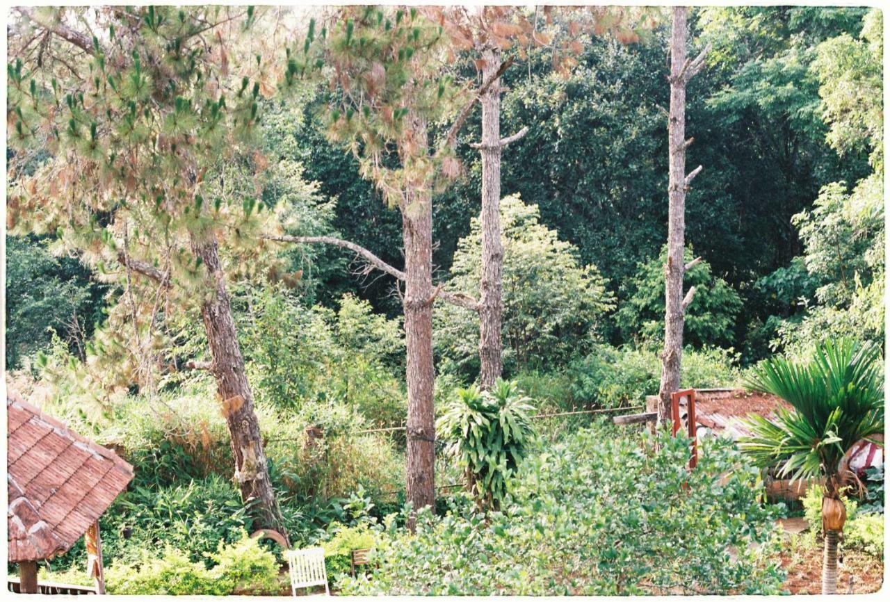 Sum Villa Homestay Mang Den Kon Von Kla Bagian luar foto