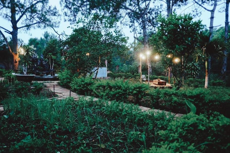 Sum Villa Homestay Mang Den Kon Von Kla Bagian luar foto